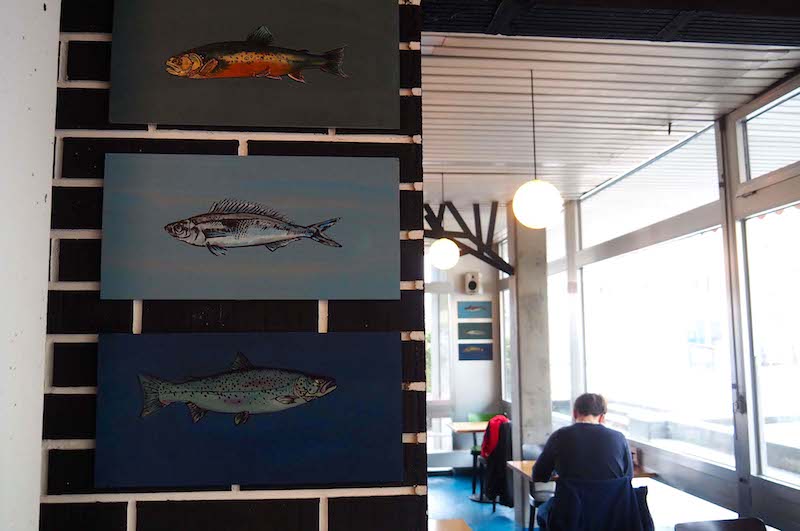 Die Ausstellung im «Säli» des Neubads wird durch die Lieblingsfische der befragten Fischer ergänzt.