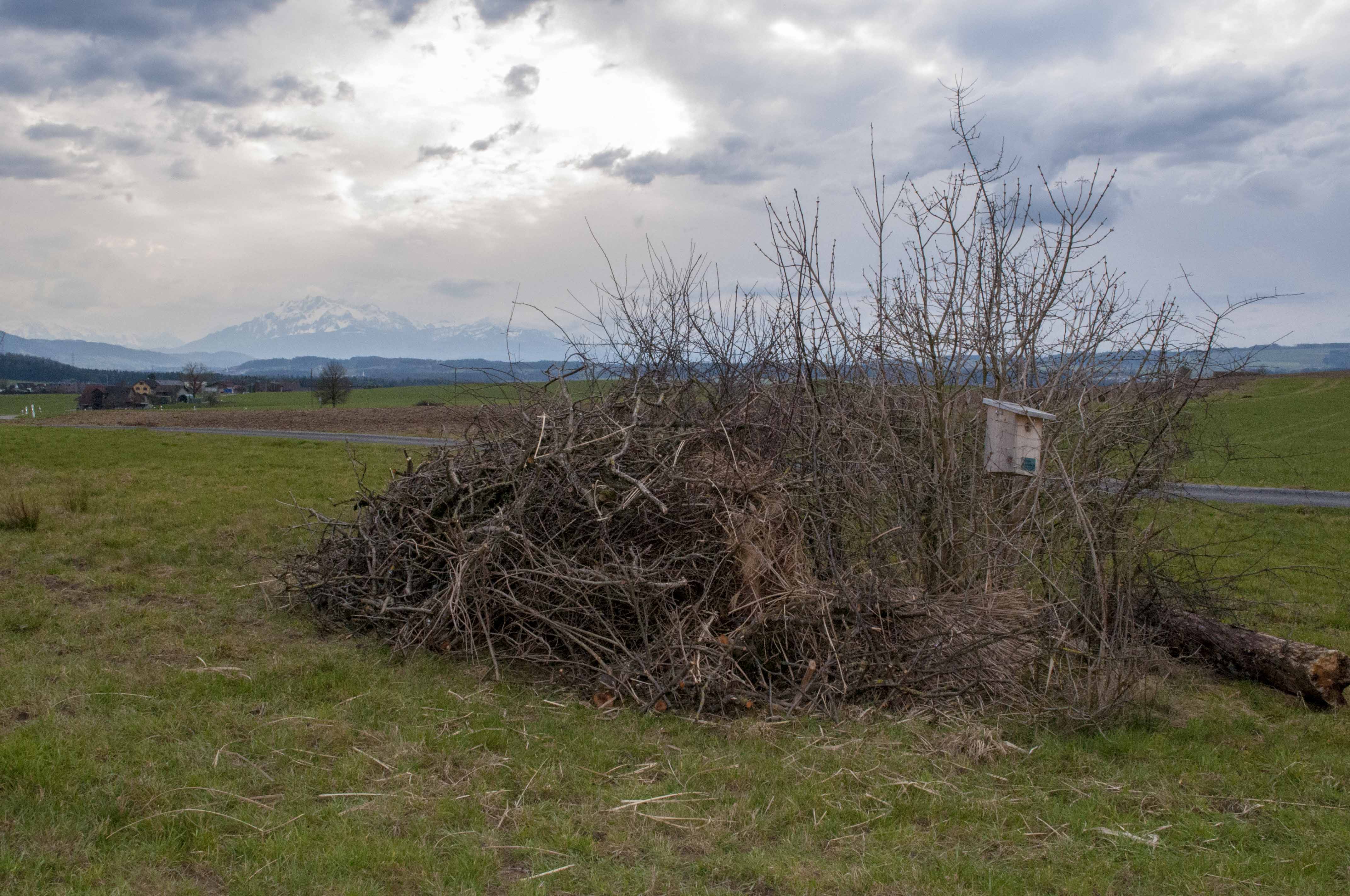 Rückzugsgebiet für gestresste Städter und seltene Vögel – Gegend zwischen Hublezen und Hattwil.