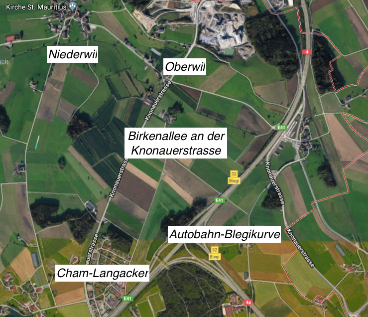 Hier zwischen Cham und Oberwil stehen die 21 Birken der Allee.