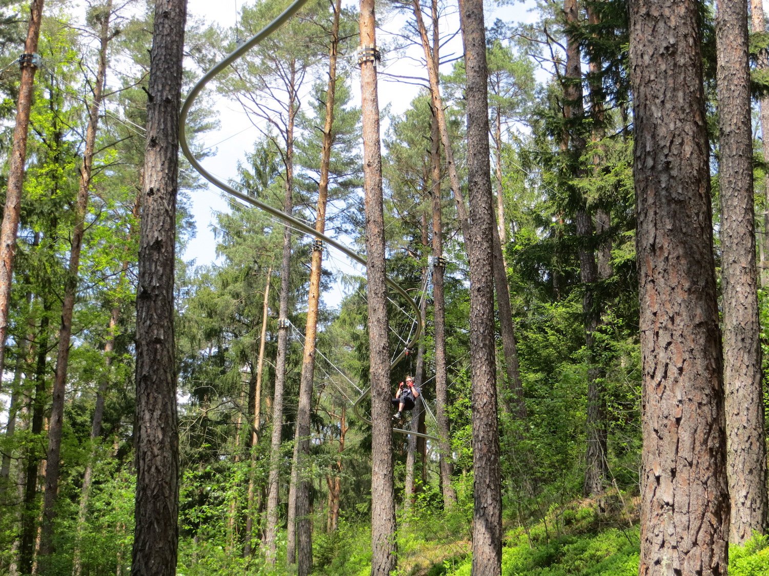 Wie hier soll sich die Flyline durch den Wald schlängeln (Symbolbild).