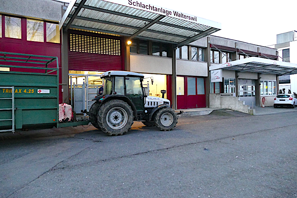 Die Schlachtanlage Walterswil in Baar.