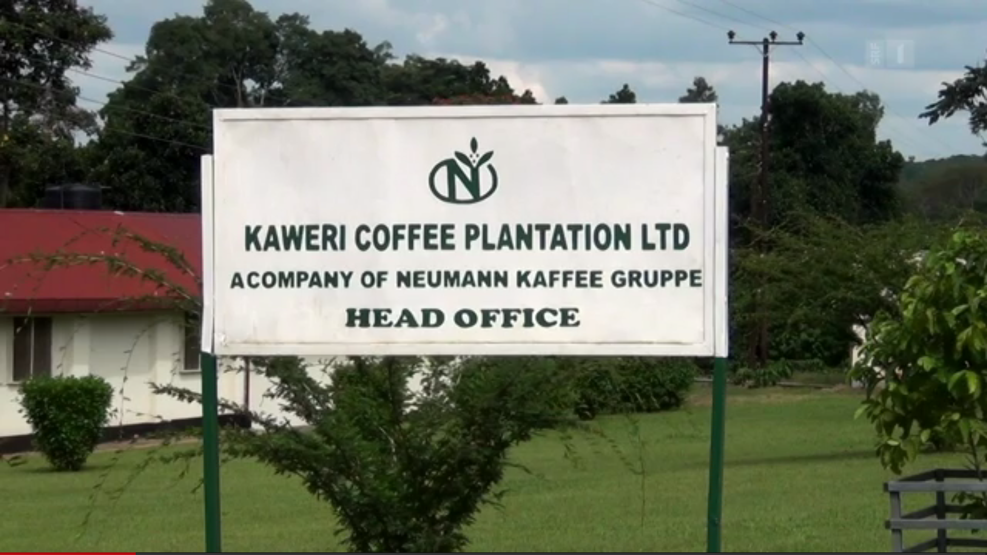 Die Kaweri-Plantage in Uganda.