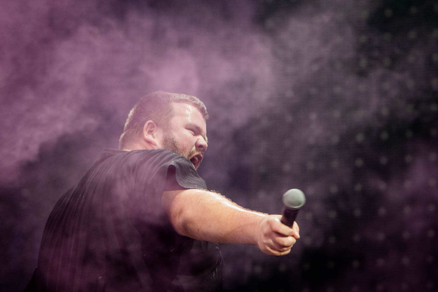 Feine Sahne Fisch Filet: Sympathischer Punkrock aus Norddeutschland.