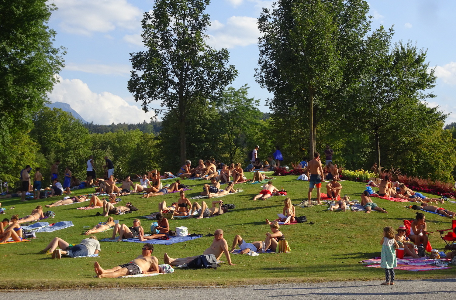 Hitzesommer führt zu Dichtestress in Luzerner Badis