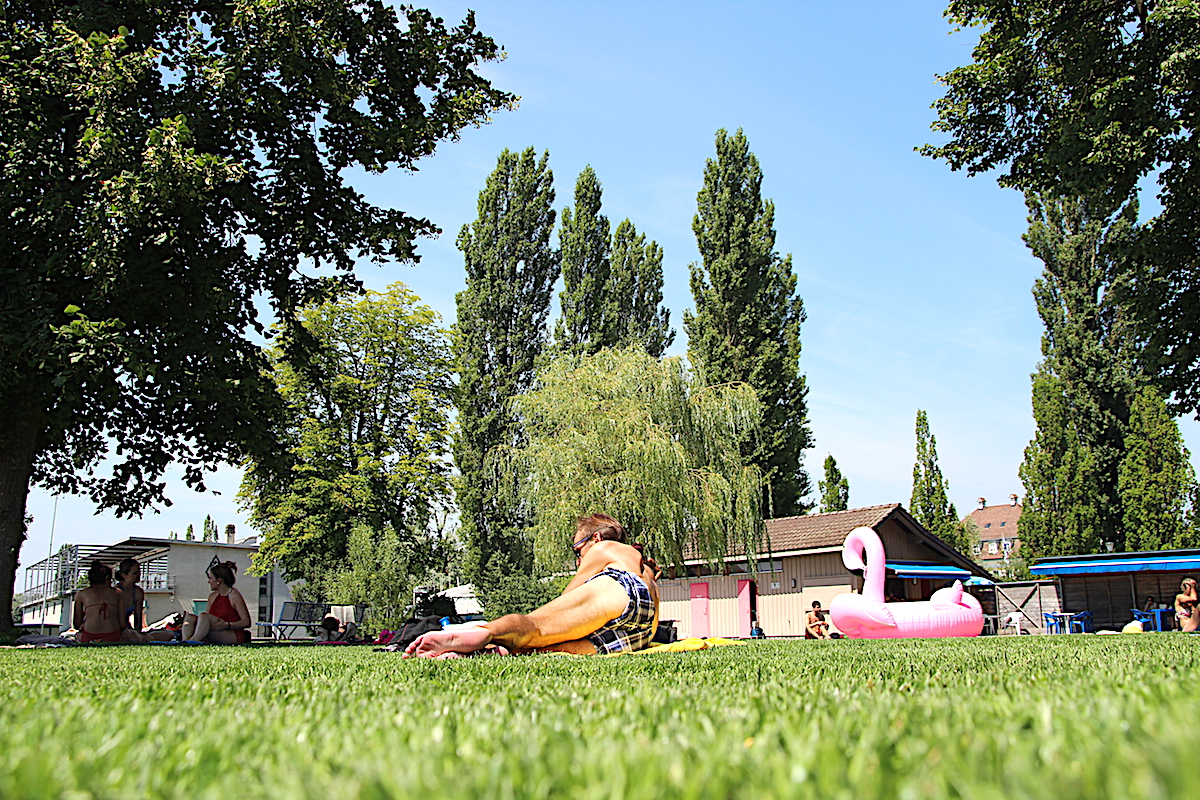 Auch in der Zuger Männerbadi gab es in diesem Sommer viele Badegäste.