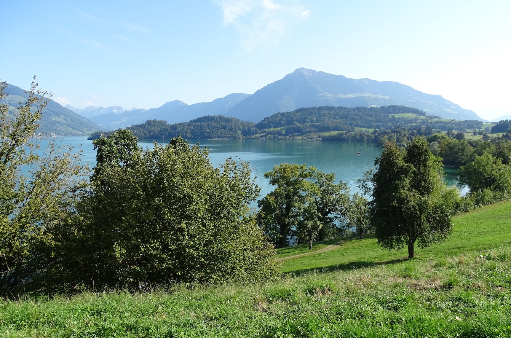 Aussicht vom Bauland beim Waldheim in Risch.