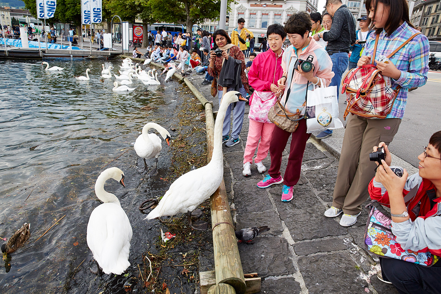 Wie viele dürfen’s sein? Touristen am Schwanenplatz.