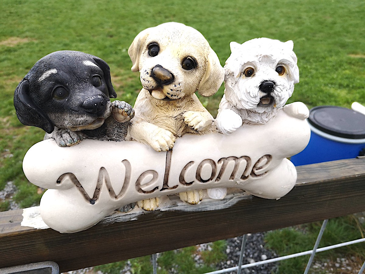 In Hünenberg in der Hundeschule Wolfsschule wird auch Englisch gesprochen – in speziellen «Dog Trainings» für Expats und für solche, die ihr Englisch verbessern wollen.