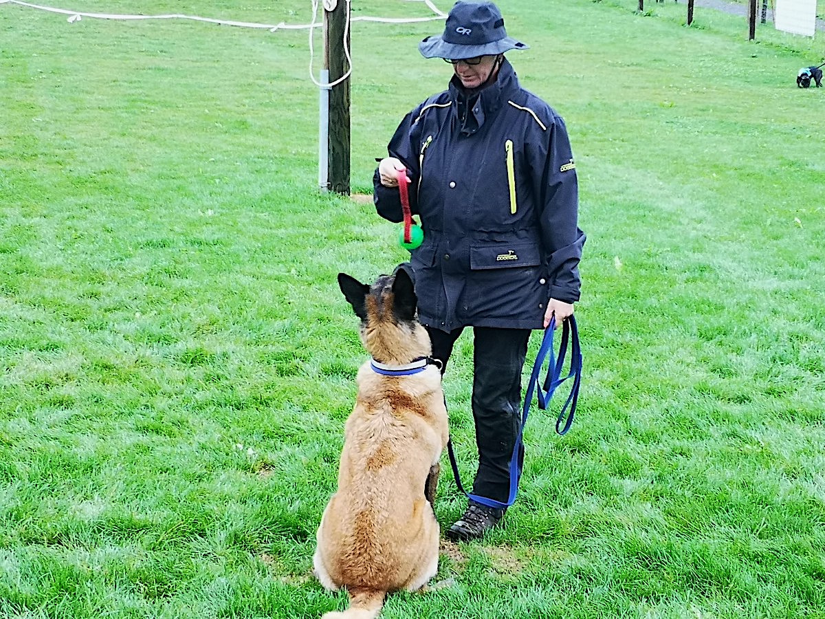 «Platz!» Oder: «Sit!». Je nach dem, was der Hund eben versteht.