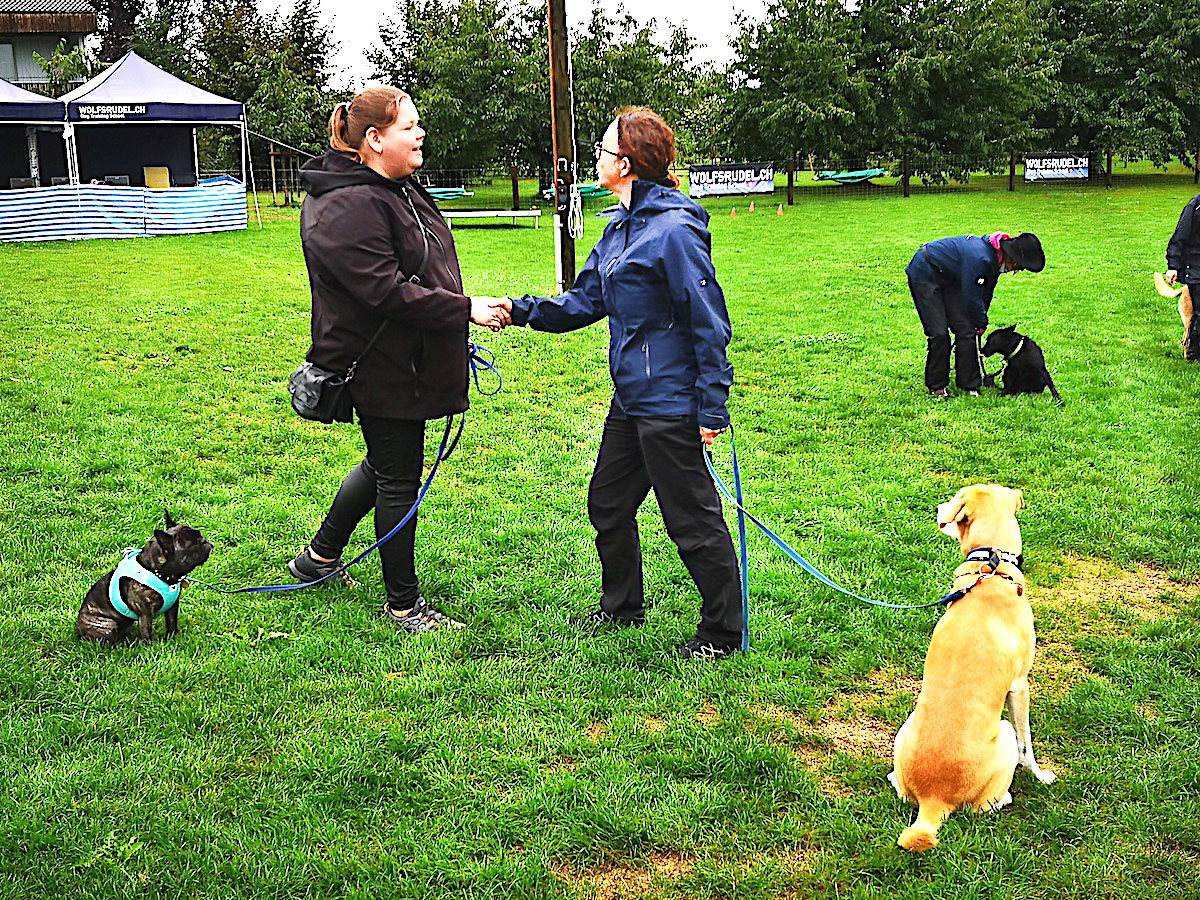 «Hello, nice to meet you!» Während sich Frauchen unterhält, muss der Hund ganz ruhig am Platz sitzen.