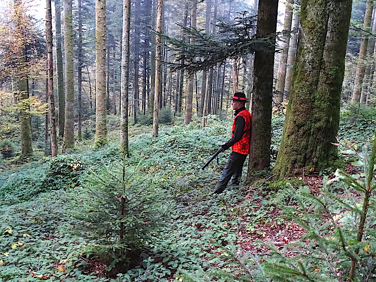 Der Regierungsrat im Wald: Das Warten auf den Bock erfolgt in meditativer Stille.