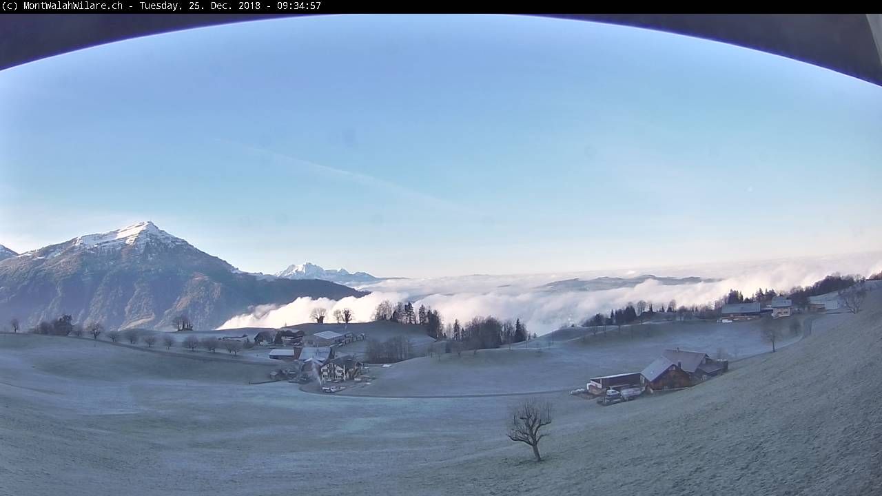 Noch liegt der Walchwilerberg im Schatten, jedoch über dem Nebel.