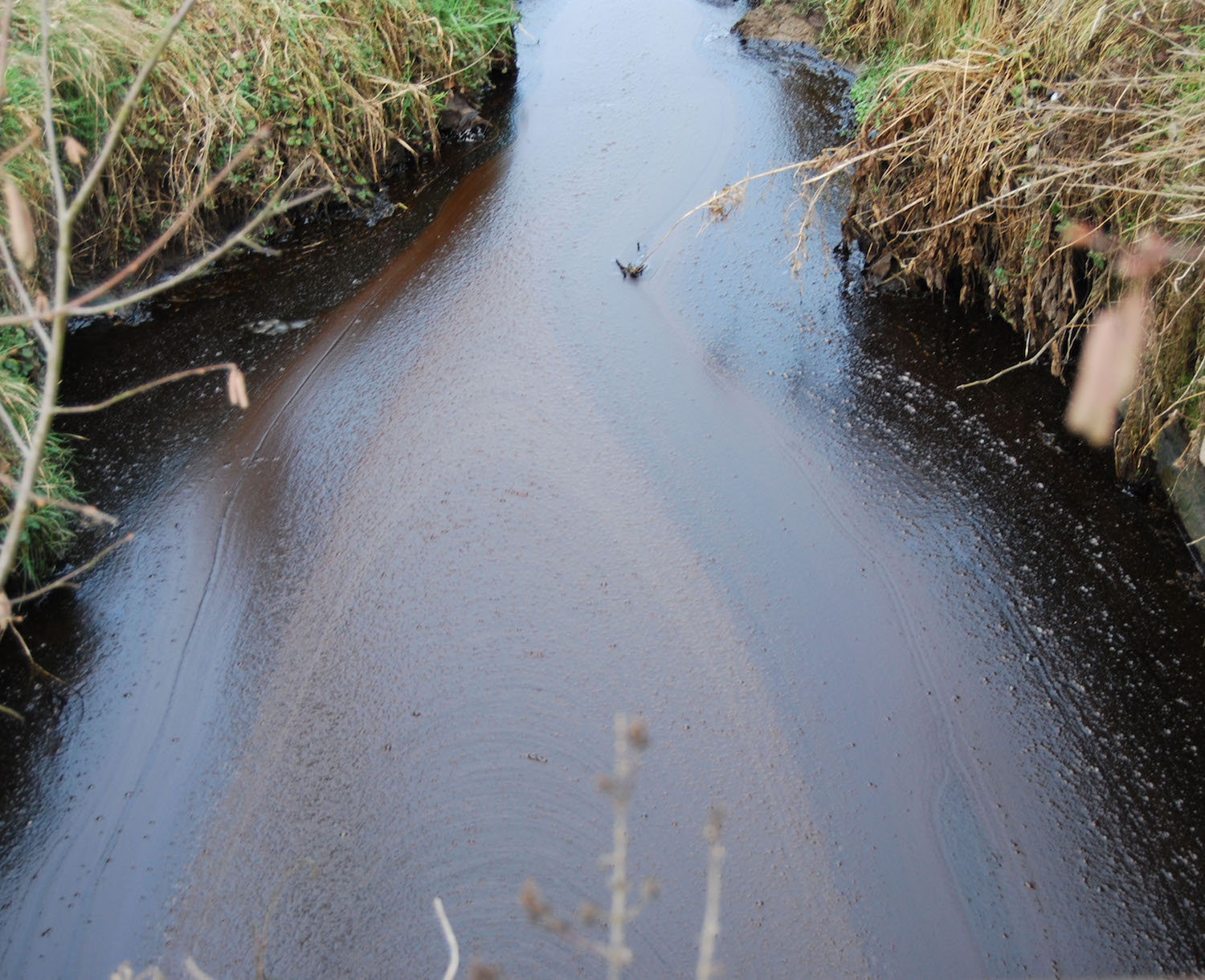 Der Moosgraben im Ortsteil Blatten in Malters war am Sonntag stark verschmutzt.