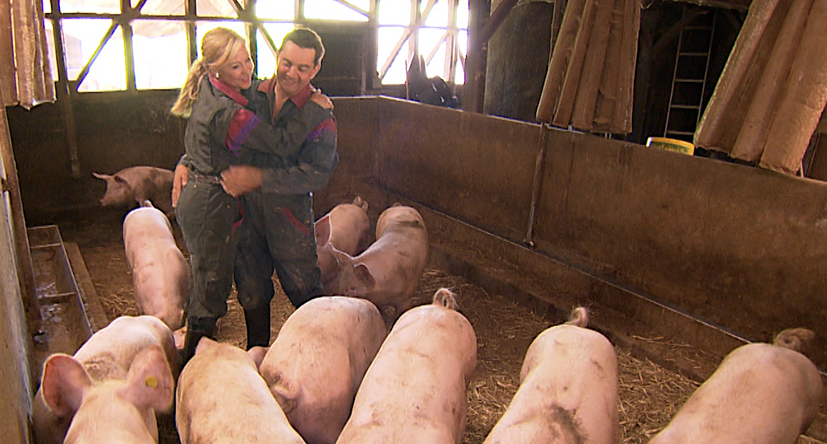 Futter degustiert: Marlies und Martin im Schweinestall. 