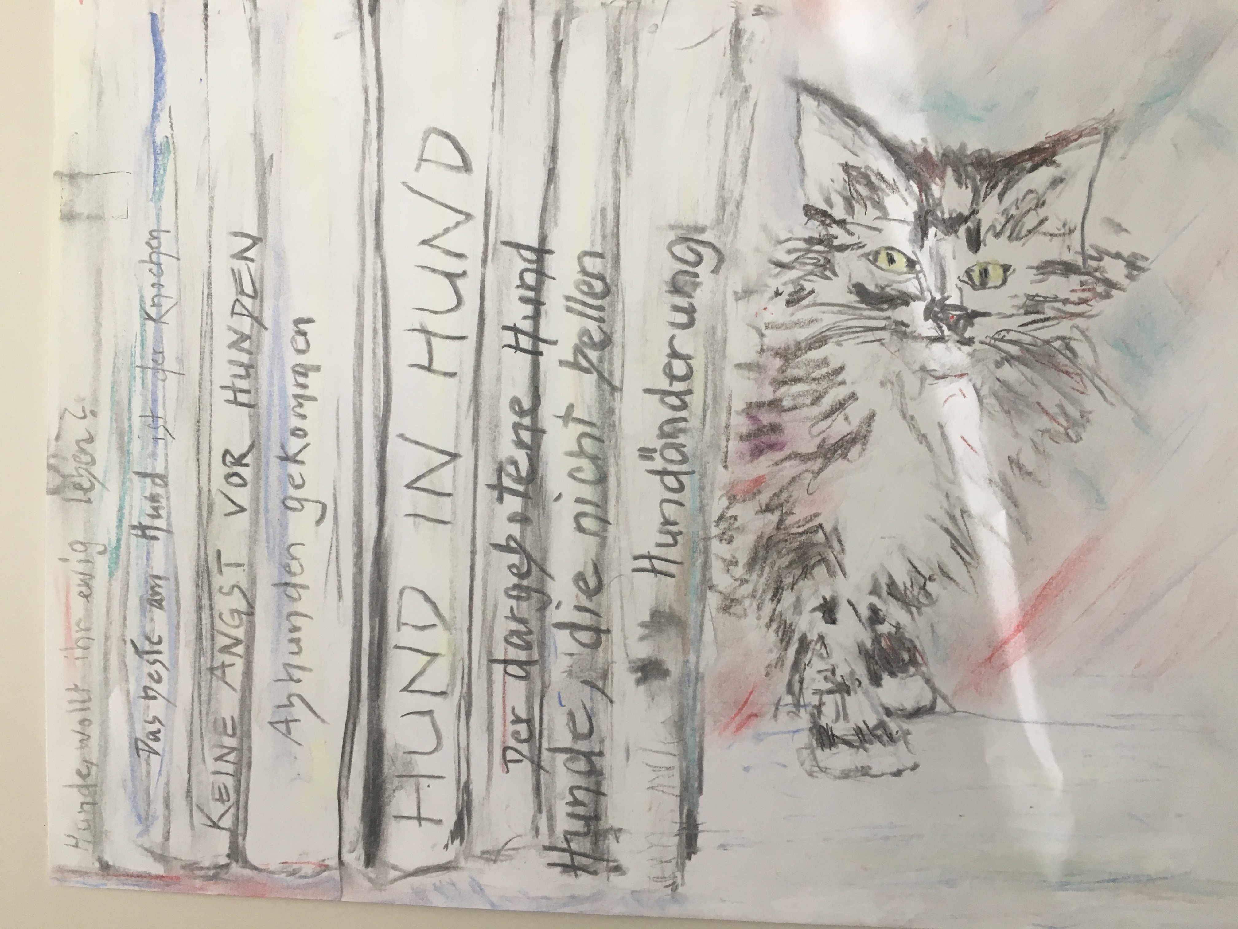 Eine selbstgemalte Zeichnung meiner Katze auf dem Büchergestell.