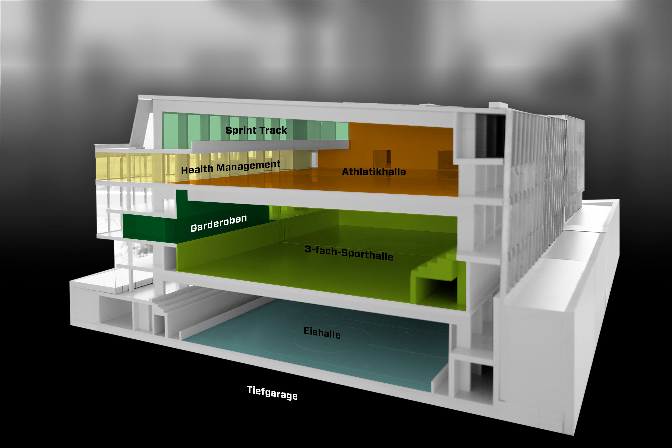 Querschnitt OY, drei Sporthallen übereinander, umrahmt von peripheren Nutzungen.
