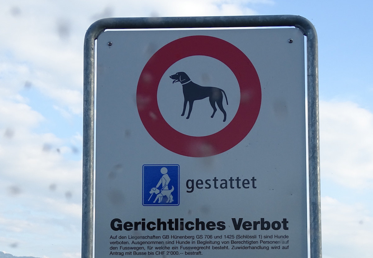 Ein gerichtliches Verbot gegen frei laufende Hunde. Wie kommt es zu solchen richterlichen Weisungen?