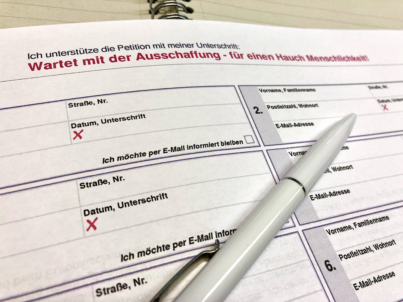 Gegen die Ausschaffung: Eine Petition fordert, dass die Einheit der Familie gewahrt wird.