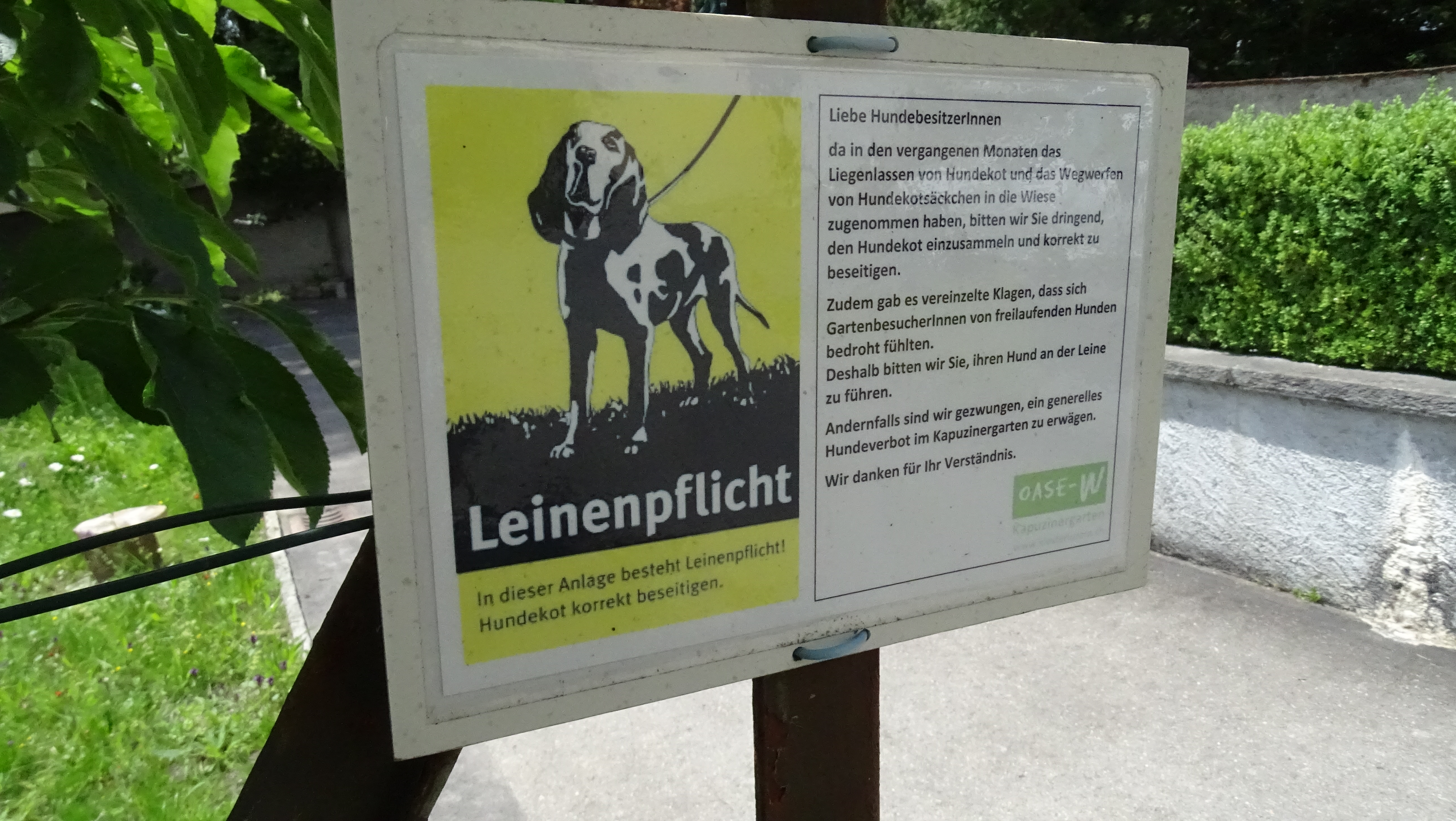 Die Warnung hat nichts genutzt: Trotz Leinenpflicht haben weiterhin Hunde ihre Spuren im Klostergarten hinterlassen.