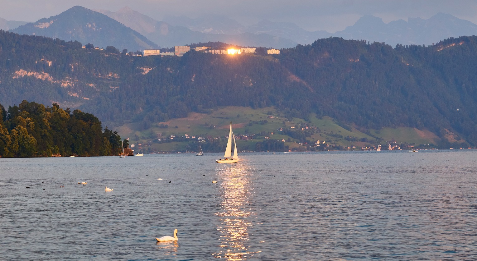Luzerner Umweltexperte: «Die Lage direkt am See ist heikel»
