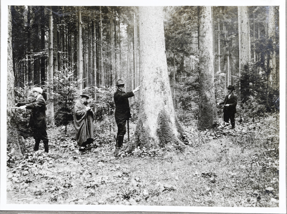 Kurioses Bild: Warum dieser Förster im Sonntagsanzug im Wald steht