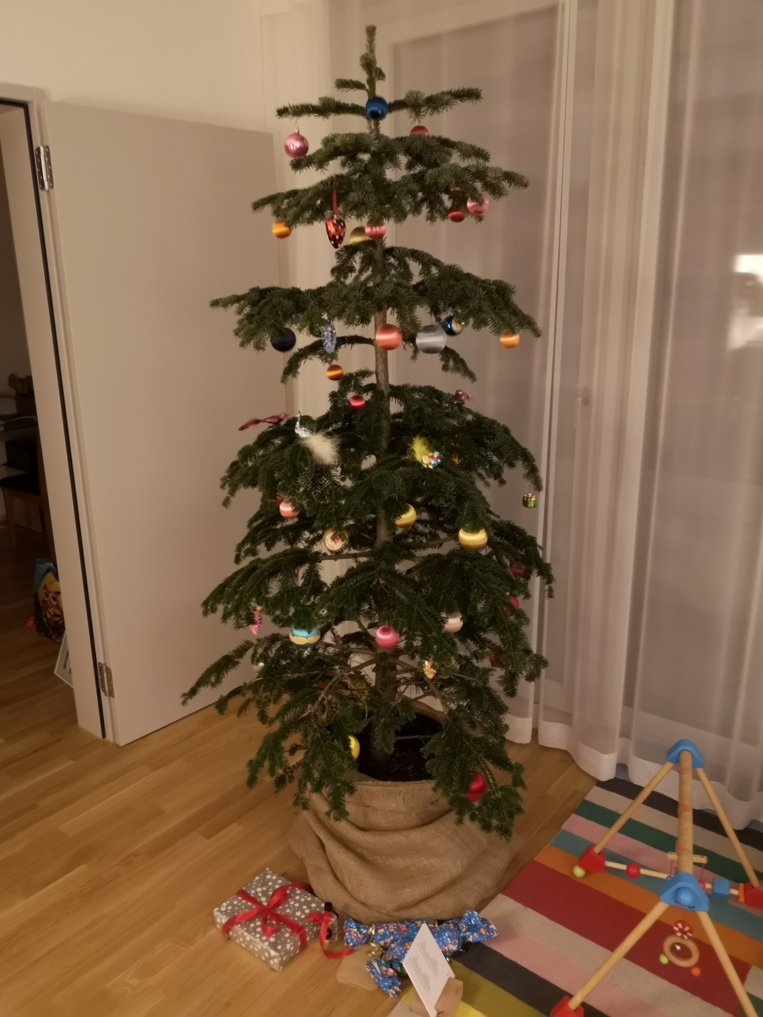 Welcher Weihnachtsbaum Ist Der Okologischste Zentralplus