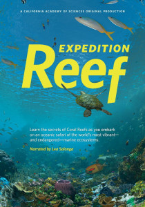 Expedition Korallenriff