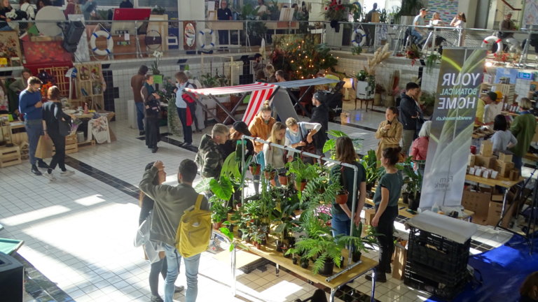 Das Botanica Festival im Neubad-Pool zog gemäss Organisatorin rund 2'500 Personen an.