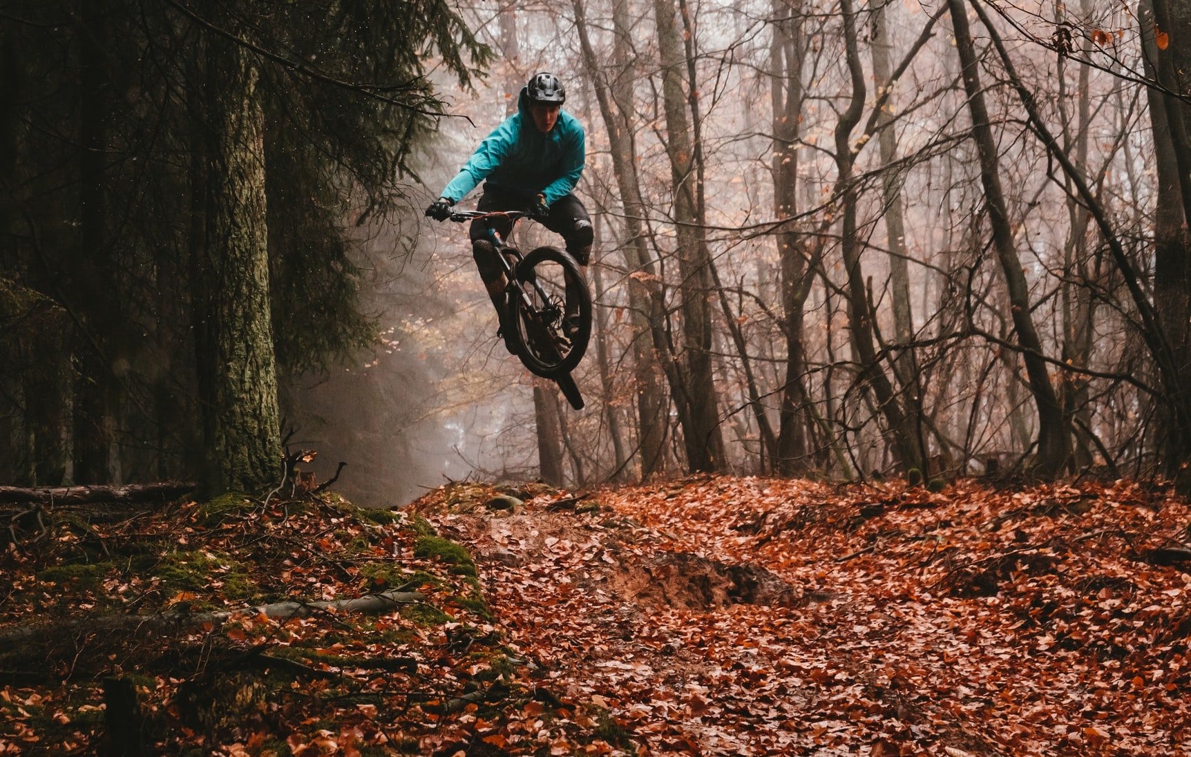 Luzerner Wald: Das Mountainbike ist der Zankapfel