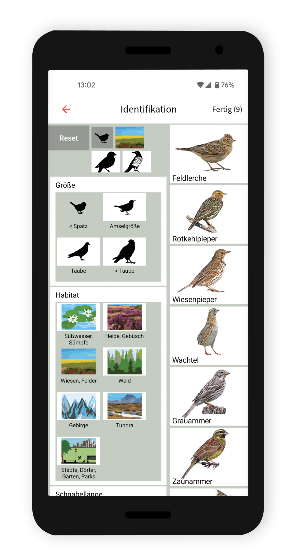 Neue-Vogelapp-von-BirdLife-Screenshot_Bestimmung