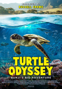 Meeresschildkröten – 3D