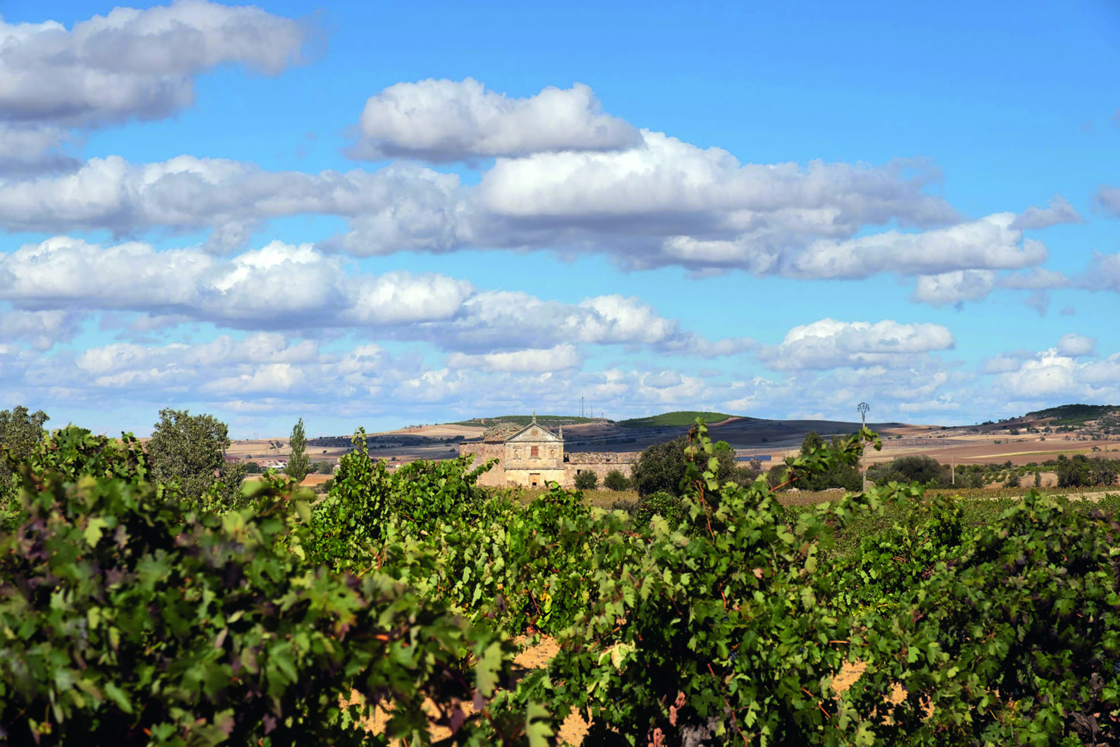Bodegas Viñas del Cenit in Zamora – hier entsteht der Mövenpick Wein des Jahres. 