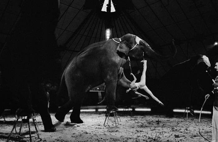 Circus Knie 1982