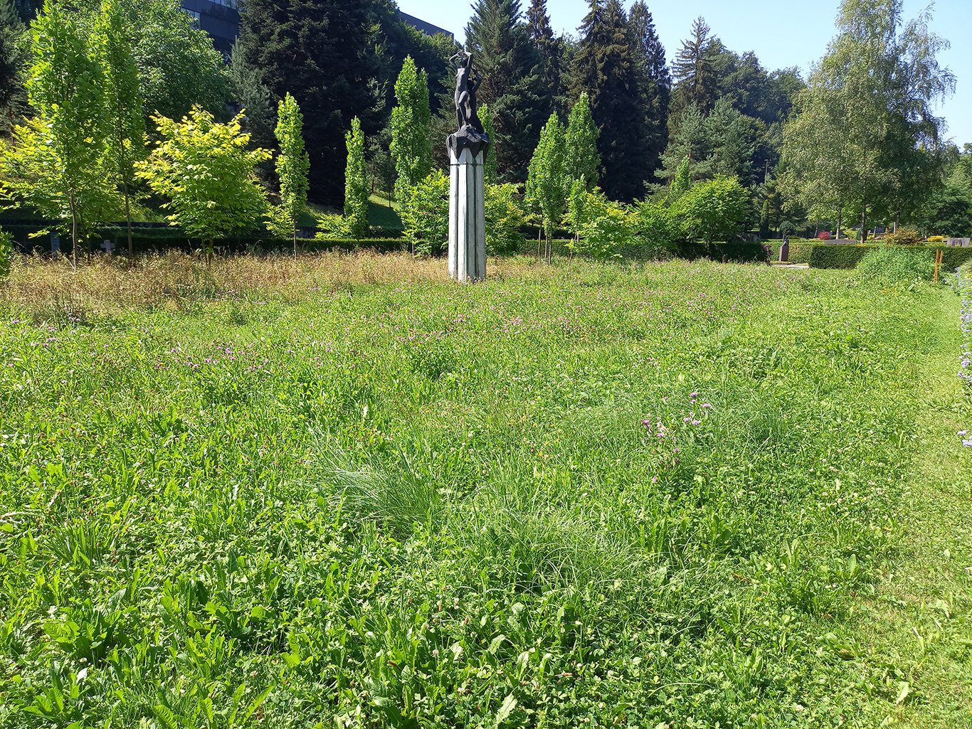 Naturwiese auf einem leeren Grabfeld (Alternatives Bild)